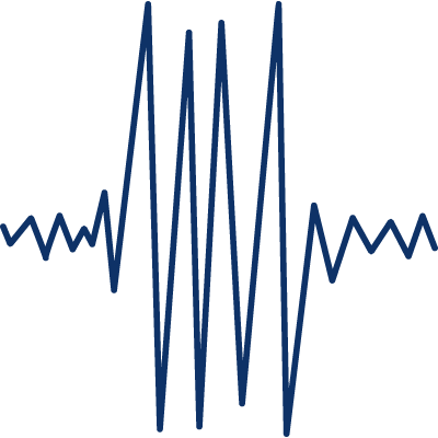 Seismic graph icon